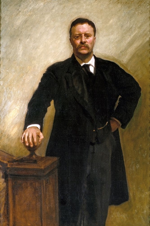 Picture of THEODORE ROOSEVELT