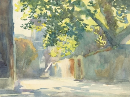 Picture of SUNLIT WALL UNDER A TREE