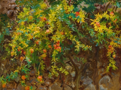 Picture of POMEGRANTES, MAJORCA, 1908