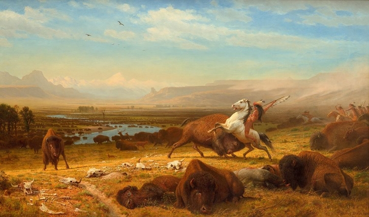 Picture of THE LAST OF THE BUFFALO