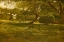 Picture of HARVEST SCENE