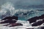 Picture of MAINE COAST