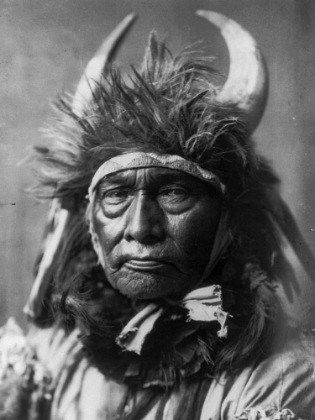 Picture of BULL CHIEF, APSAROKE