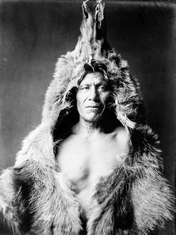 Picture of BEARS BELLY, ARIKARA INDIAN, WEARING BEARSKIN