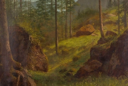 Picture of WOODED HILLSIDE