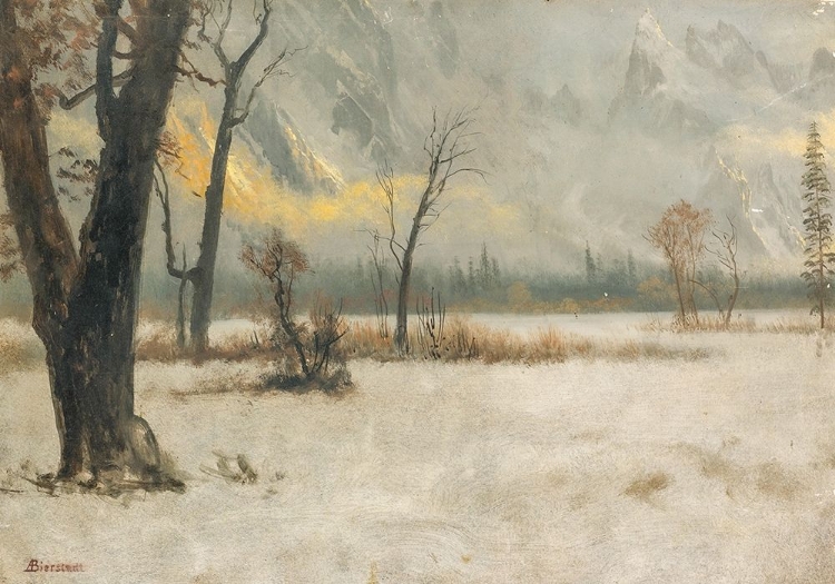 Picture of WINTER LANDSCAPE