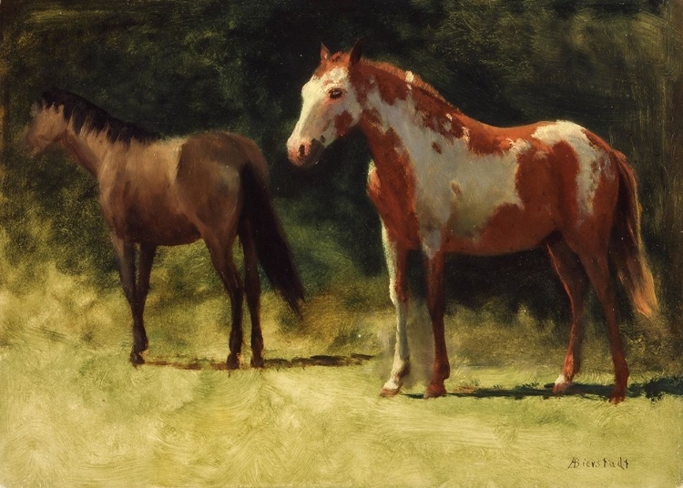 Picture of TWO HORSES