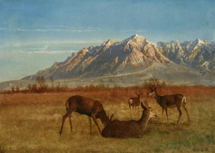 Picture of DEER IN MOUNTAIN HOME