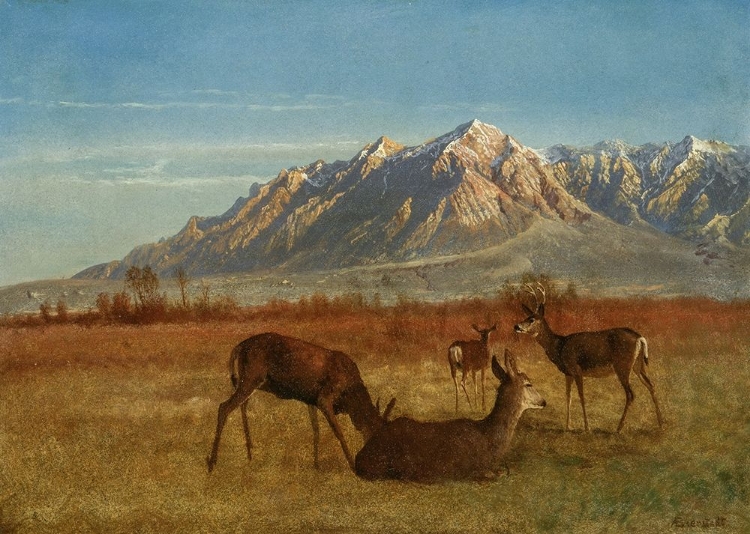 Picture of DEER IN MOUNTAIN HOME