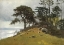Picture of CYPRESS POINT, MONTEREY