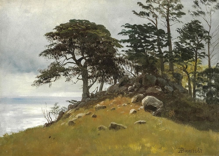 Picture of CYPRESS POINT, MONTEREY