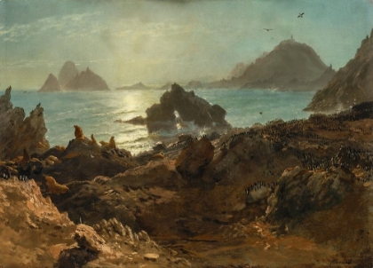 Picture of FARALLON ISLANDS, PACIFIC OCEAN, CALIFORNIA