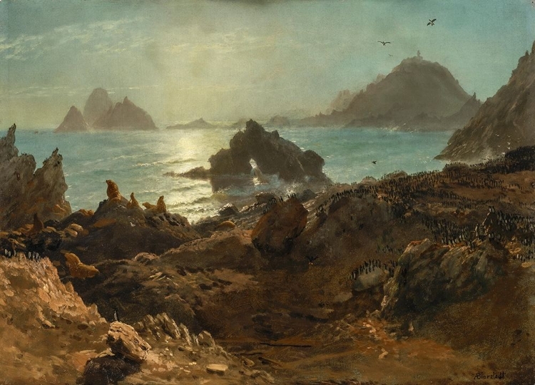 Picture of FARALLON ISLANDS, PACIFIC OCEAN, CALIFORNIA