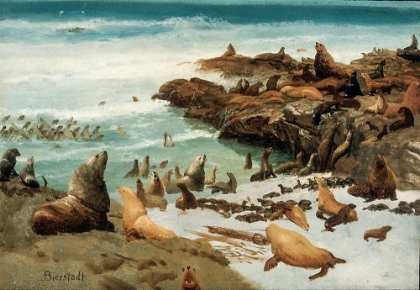 Picture of SEAL ROCKS, FARALLONS