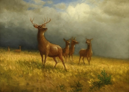 Picture of THREE DEER AND A STAG