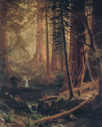 Picture of GIANT REDWOOD TREES OF CALIFORNIA