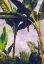 Picture of BANANA TREES
