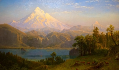 Picture of MOUNT HOOD