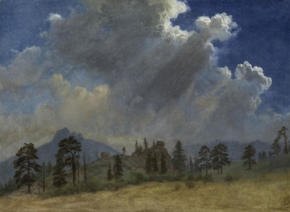 Picture of FIR TREES AND STORM CLOUDS