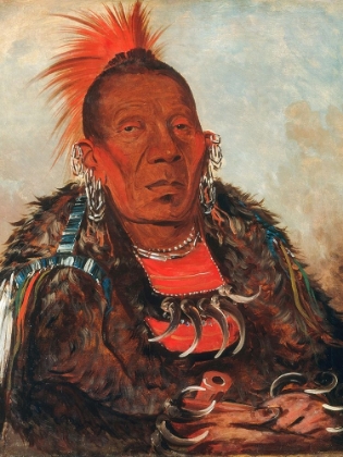 Picture of WAH RO NEE SAH, THE SURROUNDER, CHIEF OF THE TRIBE