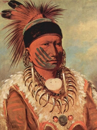 Picture of THE WHITE CLOUD, HEAD CHIEF OF THE IOWAS