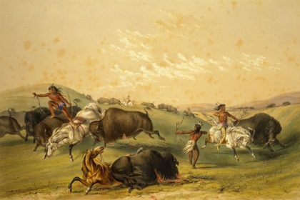 Picture of BUFFALO HUNT, A NUMEROUS GROUP