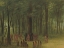 Picture of FUNERAL OF BLACK HAWK - SAUKIE