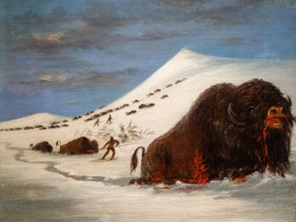 Picture of BUFFALO HUNT IN SNOW SHOES
