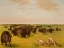Picture of BUFFOLO HERD GRAZING
