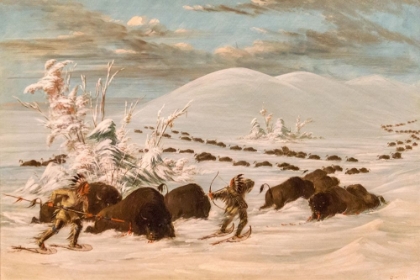 Picture of WINTER SPORT OF KILLING BUFFALO