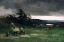 Picture of APPROACHING STORM