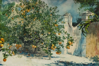 Picture of ORANGE TREES AND GATE