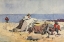 Picture of A CLAM BAKE