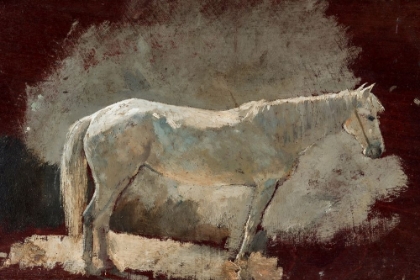 Picture of WHITE MARE