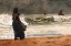 Picture of THE WATCHER, TYNEMOUTH