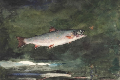 Picture of LEAPING TROUT