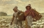 Picture of THE COTTON PICKERS