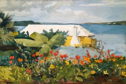 Picture of FLOWER GARDEN AND BUNGALOW, BERMUDA