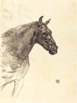 Picture of OLD HORSE