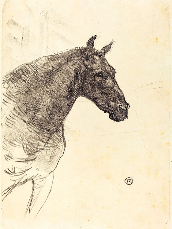 Picture of OLD HORSE