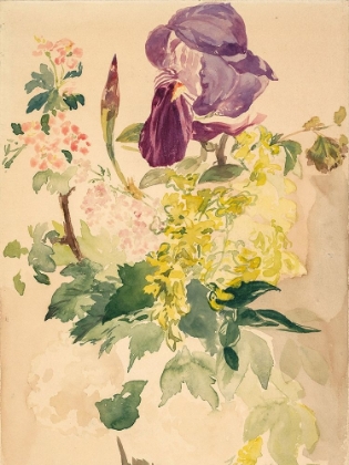Picture of FLOWER PIECE WITH IRIS, LABURNUM, AND GERANIUM, 1880