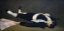 Picture of THE DEAD TOREADOR