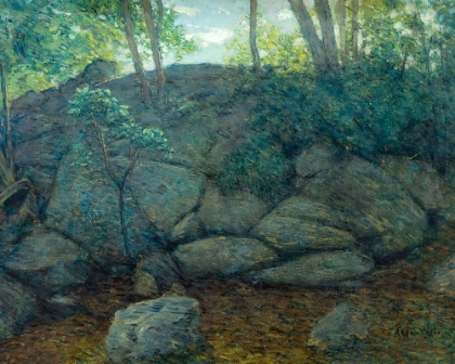 Picture of WOODLAND ROCKS