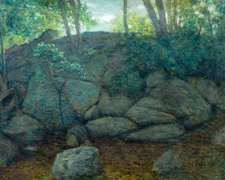 Picture of WOODLAND ROCKS