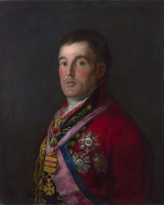 Picture of THE DUKE OF WELLINGTON