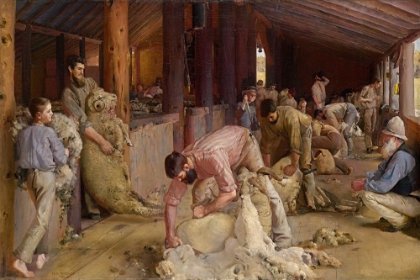 Picture of SHEARING THE RAMS