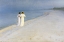 Picture of SUMMER EVENING ON SKAGENS BEACH