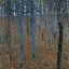Picture of BEECH GROVE I