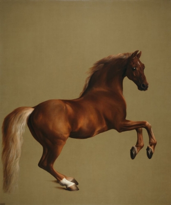Picture of WHISTLEJACKET
