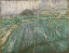 Picture of RAIN